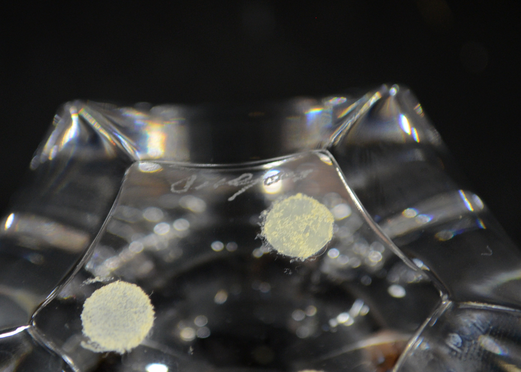 Orrefors Tulip Vase EBTH